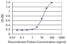 IHC-plus™ GALNT1 Antibody (clone 3C10)