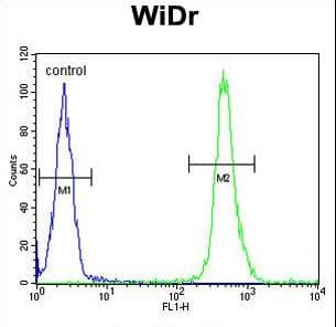 VPS26A / VPS26 Antibody (aa263-291)