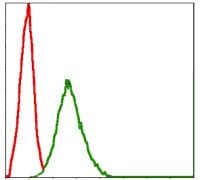SKP1 Antibody (clone 4E+11)