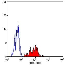 HLA-A2 Antibody (clone BB7.2, FITC)