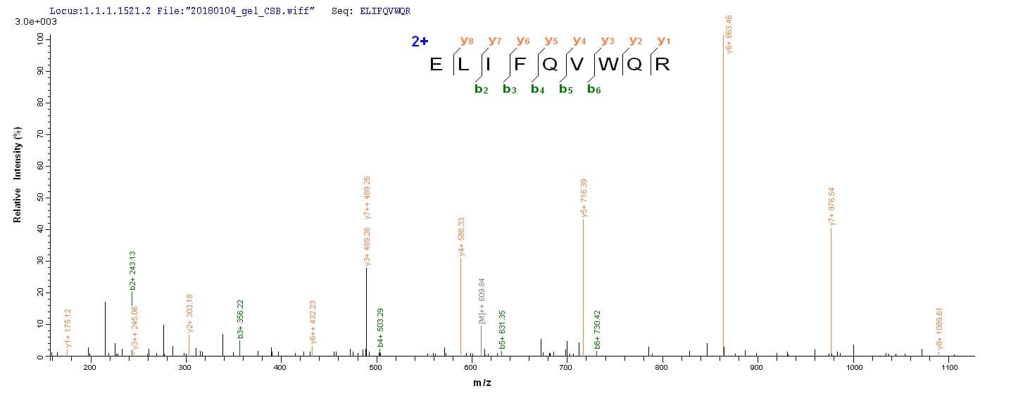 Human Immunodeficiency Virus 2 vpx Protein (Recombinant 6His-SUMO, N-terminus)