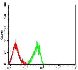Monoclonal Mouse anti-Human KIR2DL4 Antibody (clone 4C2D11, WB)