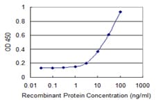 TRIM26 Antibody (clone 1G3)