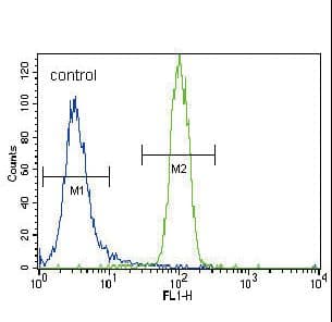 HNF4A / HNF4 Antibody (aa281-312)