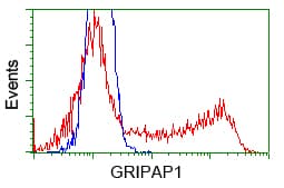 GRIPAP1 / GRASP1 Antibody (clone OTI2C11)