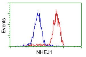 NHEJ1 / XLF Antibody (clone OTI3D6)