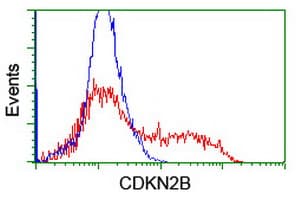 CDKN2B / p15 INK4b Antibody (clone OTI3E4)