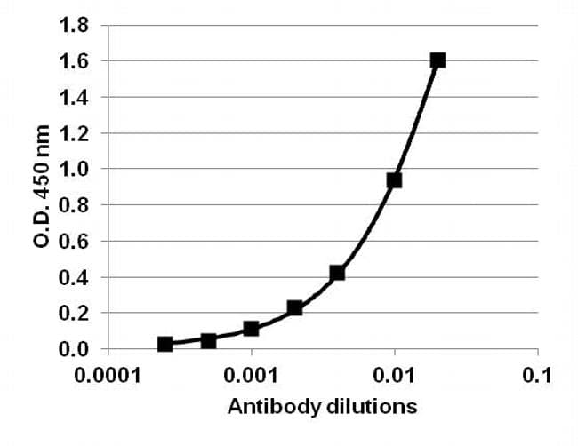 IL6 / Interleukin 6 Antibody
