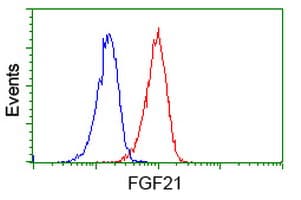 FGF21 Antibody (clone OTI3E5)