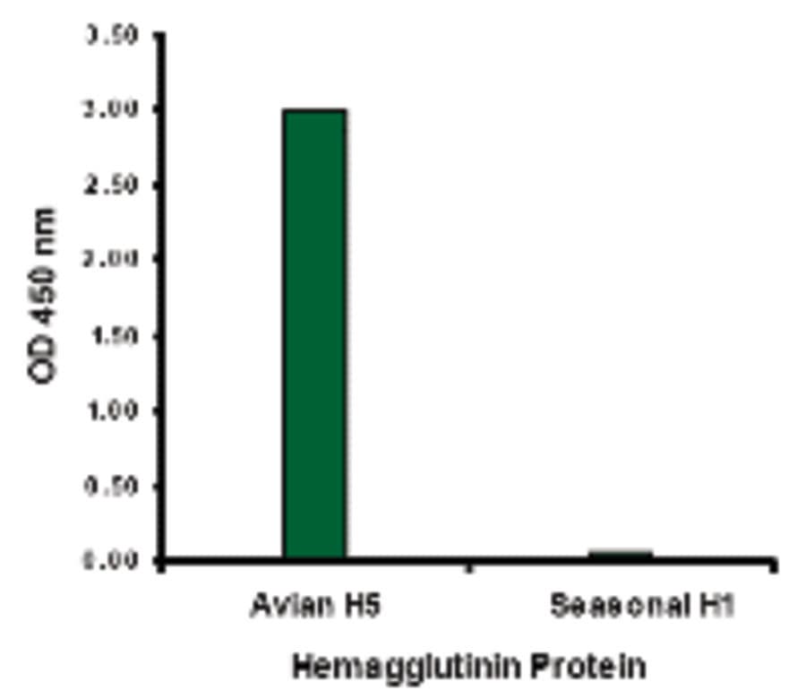 Influenza A Virus Hemagglutinin Antibody (clone 4H1C10)