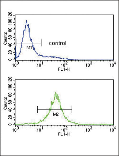 Polyclonal Rabbit anti-Human IL-10 Antibody (aa27-53, IHC, WB)