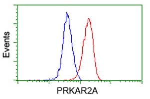 PRKAR2A Antibody (clone OTI1F8)