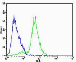 FXYD6 Antibody (aa81-115)