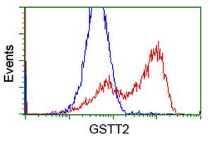 GSTT2 Antibody (clone OTI8A10)