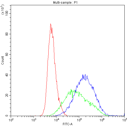 CYP1A1 Antibody (aa183-320)