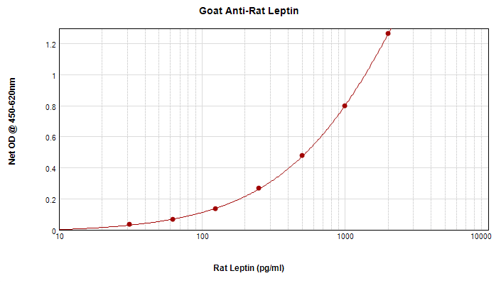 Leptin Antibody