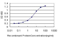 YBX3 / CSDA Antibody (clone 4D9)