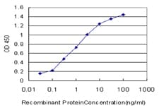 PSMD9 / 26S Proteasome Antibody (clone 3A4)