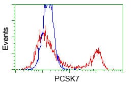 PCSK7 / PC7 Antibody (clone OTI1B8)