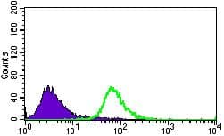 Monoclonal Mouse anti-Human ALK3 / BMPR1A Antibody (clone 4B7B2, Amino Acid: 179-378, IHC, WB)