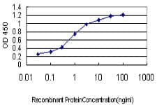 TAF1L Antibody (clone 1E12)