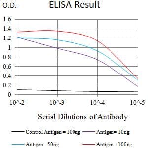 EHMT2 / G9A Antibody (clone 6F3E5)