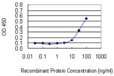 LGTN / EIF2D Antibody (clone 2D10)