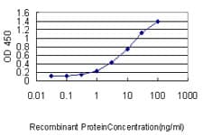 LAT Antibody (clone 3B11-1D5)