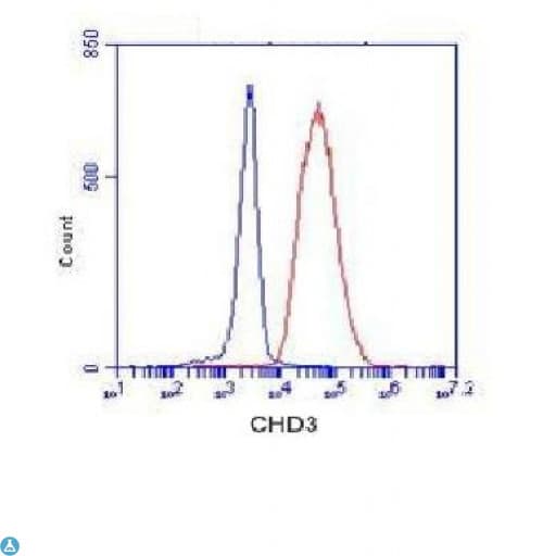 CHD3 Antibody