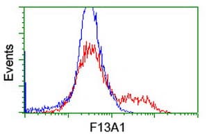 F13A1 / Factor XIIIa Antibody (clone 6F5, Carrier-free)
