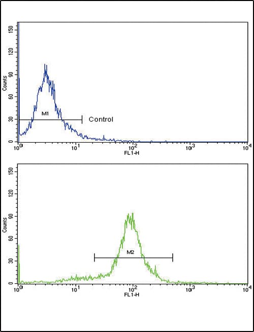 IHC-plus™ CCL2 / MCP1 Antibody (aa62-89)