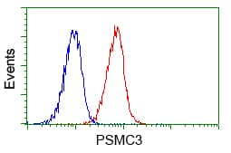 PSMC3 Antibody (clone OTI9F3, Carrier-free)
