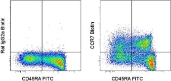 CCR7 Antibody (clone 3D12, Biotin)
