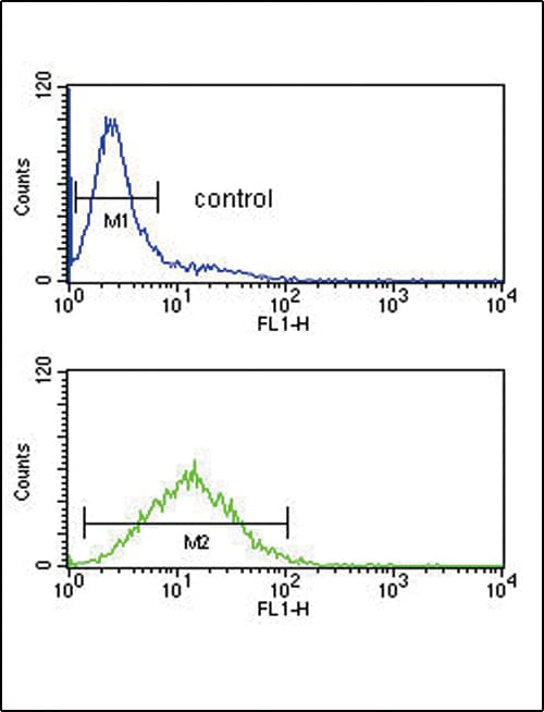 TPT1 / TCTP Antibody (aa85-113)