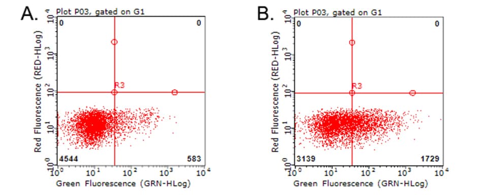 TNFRSF9 / 4-1BB / CD137 Antibody (clone OTI14C10)