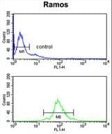 U2AF1 Antibody (aa99-125)