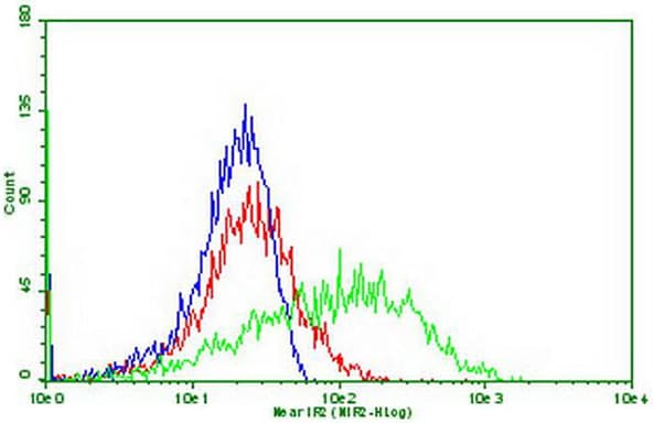 Monoclonal Mouse anti-Human PDCD1 / CD279 / PD-1 Antibody (clone OTI24D2, IF, WB)