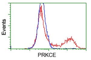 PRKCE / PKC-Epsilon Antibody (clone OTI4D12)