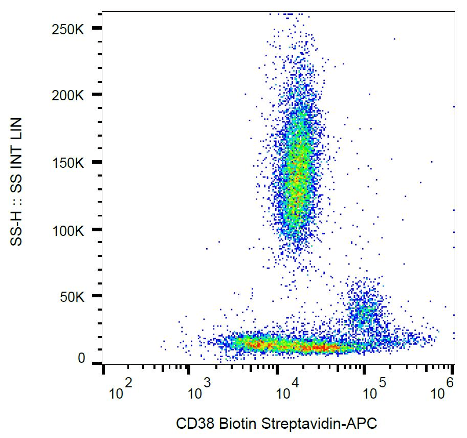 CD38 Antibody (clone HIT2, Biotin)