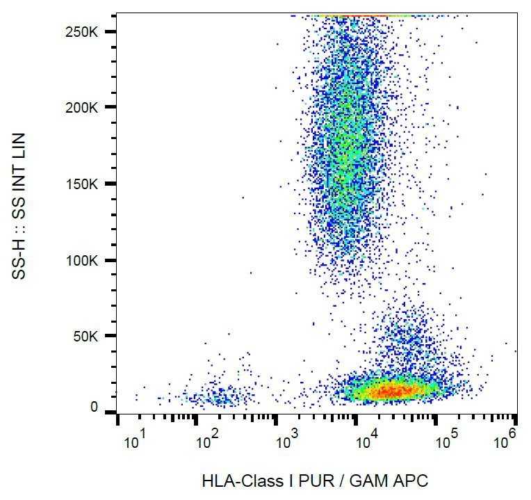 IHC-plus™ HLA-A/B/C Antibody (clone MEM-123)