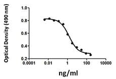 Human Activin A Protein (Recombinant)