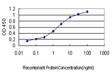 Monoclonal Mouse anti-Human GATA2 Antibody (clone 2D11, IF, WB)