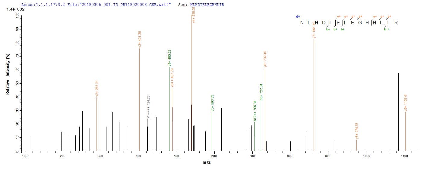 E. coli glcC Protein (Recombinant 6His-SUMO, N-terminus)