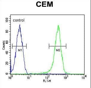 COX10 Antibody (aa383-410)