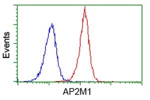 AP50 / AP2M1 Antibody (clone OTI2G2)