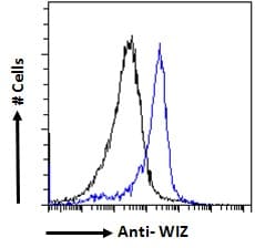 WIZ Antibody (aa1453-1467)