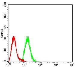 MTA1 Antibody (clone 7G9C10)