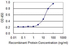 Monoclonal Mouse anti-Human POLR2A / RNA polymerase II Antibody (clone 1F17, WB)