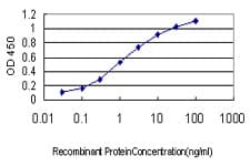 BTF3 Antibody (clone 3C4-2E11)