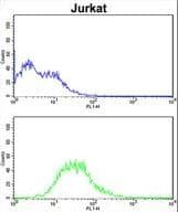 Polyclonal Rabbit anti-Human ATG14 Antibody (aa55-84, WB)
